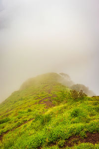 Mountain with green grass and thick clouds image is showing the amazing beauty
