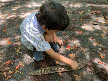 High angle view of boy on road during autumn