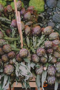 Close-up of fresh vegetables in market