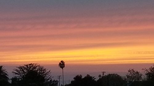 Silhouette trees against sky during sunset