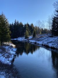 Scenic view of lake in forest against clear sky