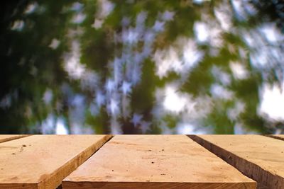 Close-up of wooden walkway against trees