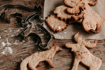 Diy christmas cookies. hot chocolate with cream and biscuits. animal figurine cookies. 