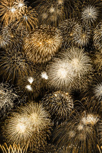 High angle view of firework display at night