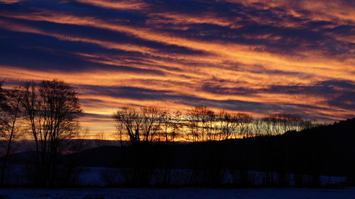 Silhouette trees on landscape against orange sky