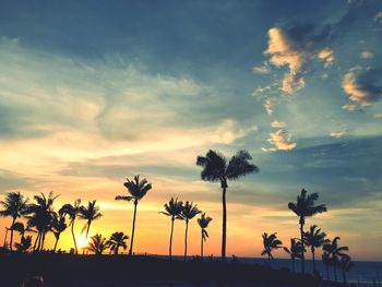 Silhouette palm trees on beach against sky at sunset