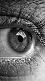 Close-up of human eye