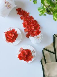 High angle view of red berries on table