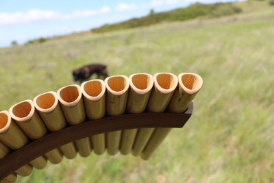 Close-up of wood on field against sky