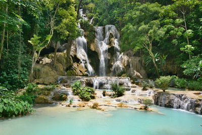 Scenic view of waterfall in forest