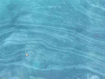 High angle view of swimming in sea