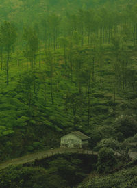 Scenic view of farm