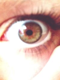 human eye