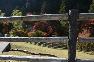 split-rail fence
