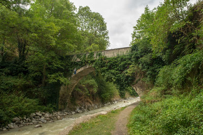 Bridge over river in forest against sky