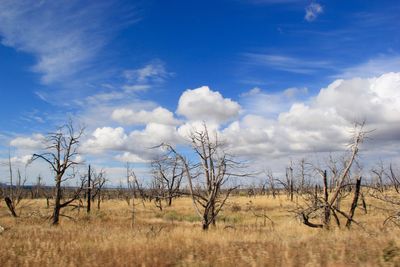 Scenic view of field against cloudy sky