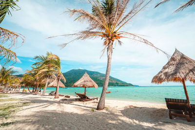 Palm trees on beach against sky