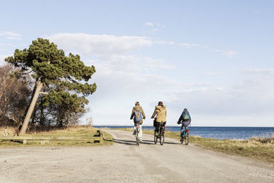Rear view of friends riding bicycles on seaside