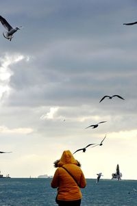 Rear view of man standing seagulls flying over sea