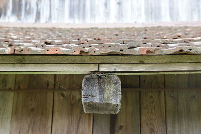 Close-up of clothes drying on wood against wall