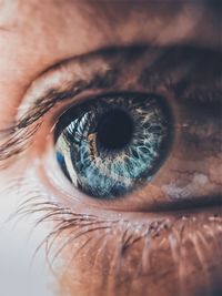 eye