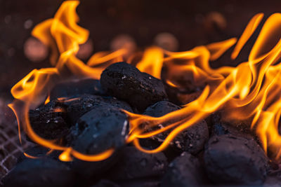 Close-up of bonfire on wood at night