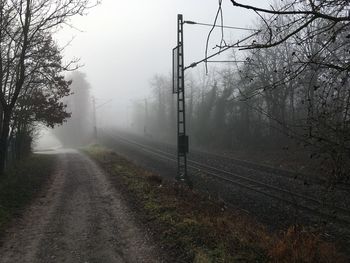 Railroad track amidst trees against sky