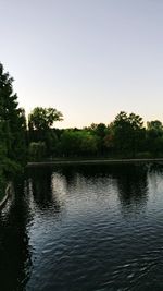 Reflection of trees in calm lake