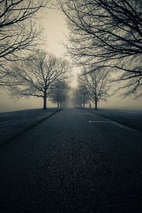 Road amidst bare trees against sky during winter