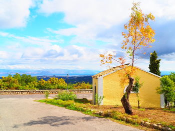 Road amidst trees and buildings against sky