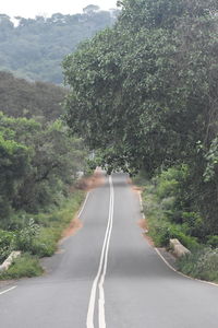 Road amidst trees and plants