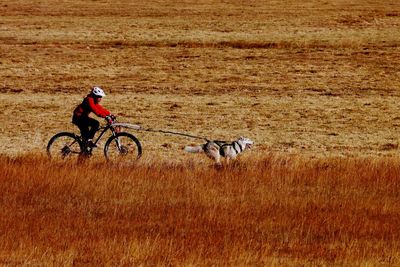 Man riding bicycle with dog on field