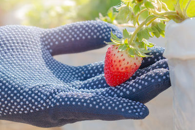 Close-up of strawberry on table