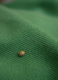 Full frame shot of tiled floor