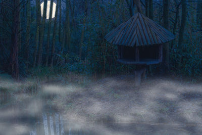 View of hut in forest