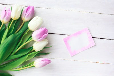 Close-up of pink tulips on table