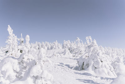 Snow covered field against clear sky