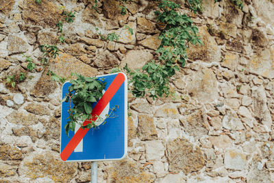 Traffic sign with vegetation over, against wall of medieval town