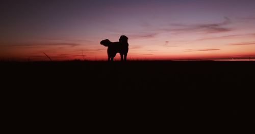 Silhouette man standing on field against sky during sunset