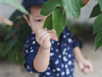 Boy holding leaf