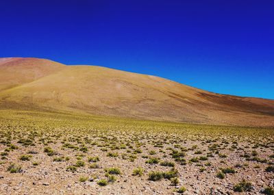 Scenic view of arid landscape against clear blue sky