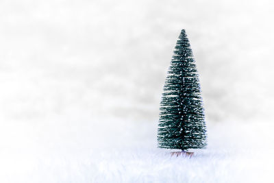 Close-up of christmas tree in snow