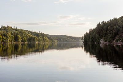 Reflection of trees in calm lake