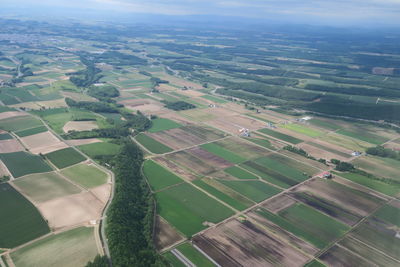 High angle view of agricultural field