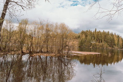 Reflection of trees in lake against sky