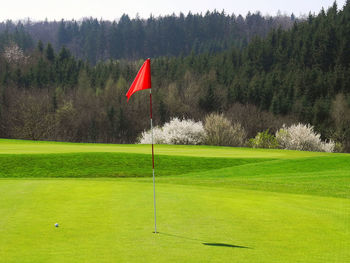 Red flag on golf course