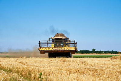 Combine harvester harvesting golden ripe wheat in agricultural field