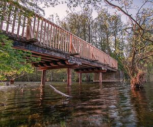 Bridge over river in forest against sky