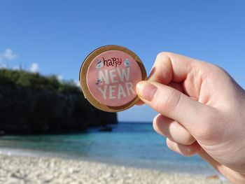 Cropped hand holding batch at beach