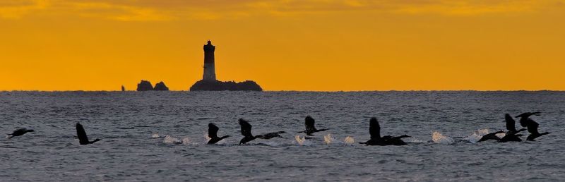 Silhouette of people on lighthouse at seaside during sunset